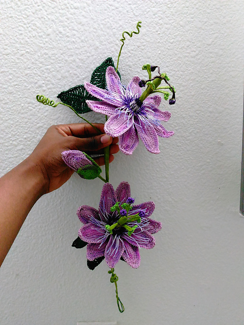 Passion Flower Vine