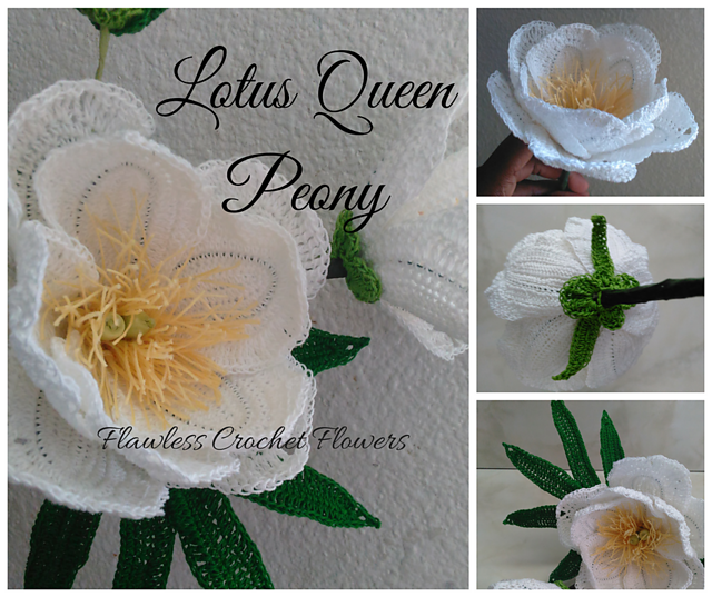 Lotus Queen Peony