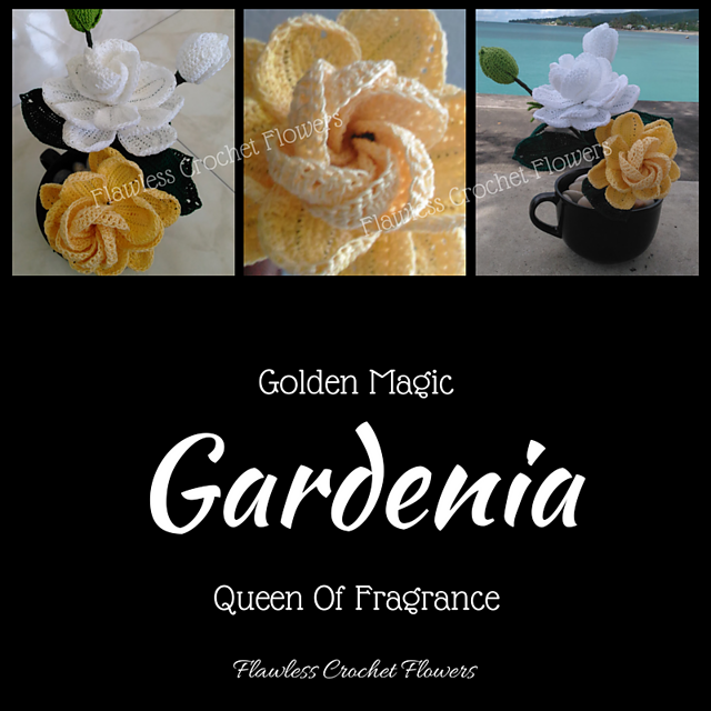Golden Magic Gardenia