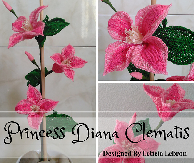 Clematis Princess Diana
