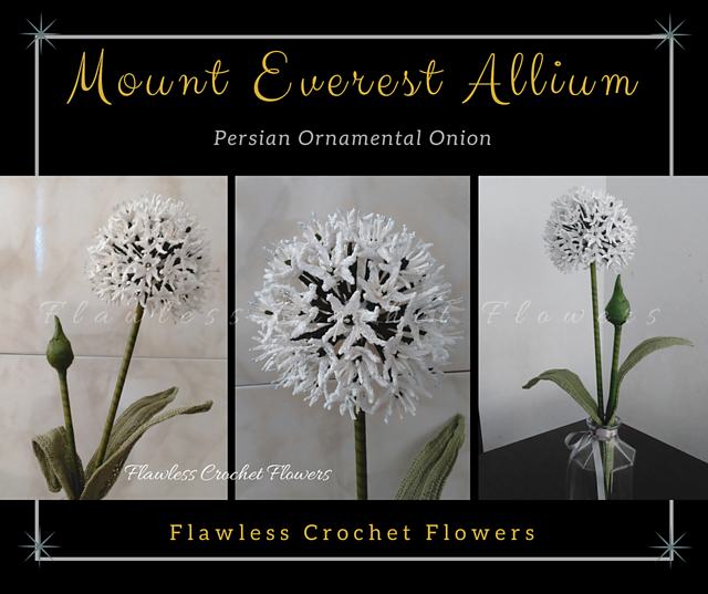 Sparkling Mount Everest Allium