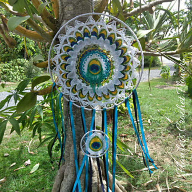 Peacock's Galaxy Dream Catcher