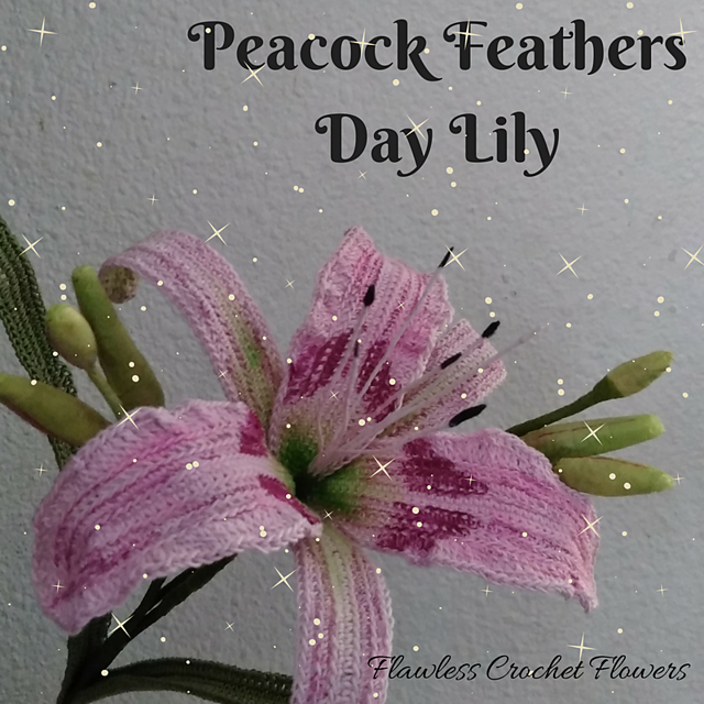 Peacock Feathers Daylily