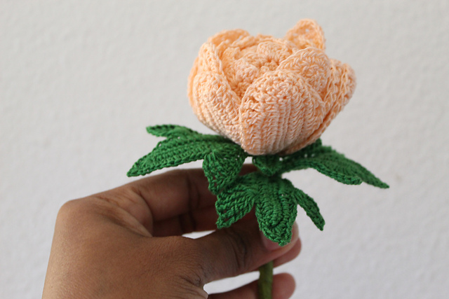 Double Peony