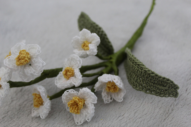 Forget-Me-Not Blooms