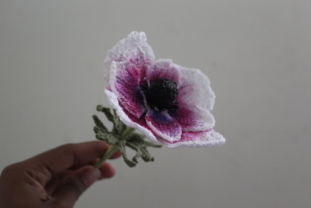 Japanese White Wine Anemone