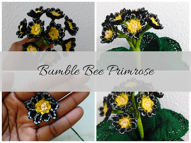 Siver Laced Bumblebee Primrose