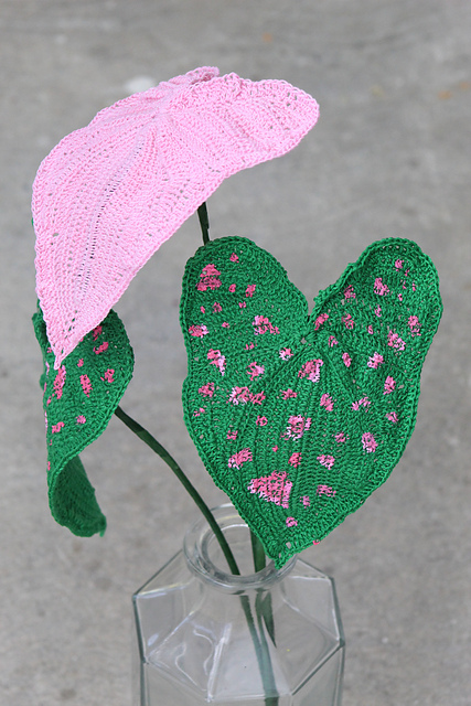 Caladium "Freckles"