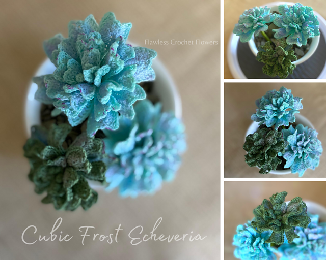 Ravelry: Cubic Frost Echeveria pattern by Leticia Lebron