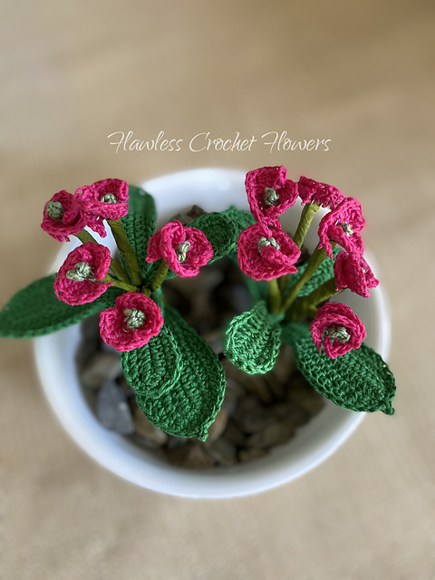 Crown Of Thorns