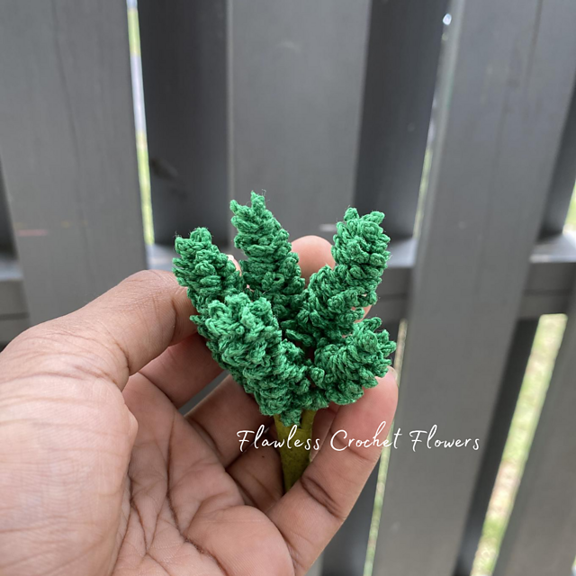Princess Pine