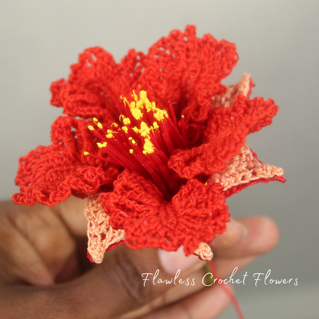 Pomegranate Blossoms