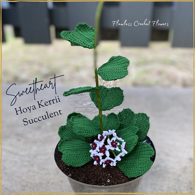 Ravelry: Sweetheart Hoya Kerrii pattern by Leticia Lebron