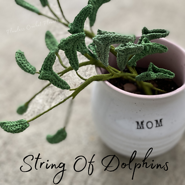 String Of Dolphins