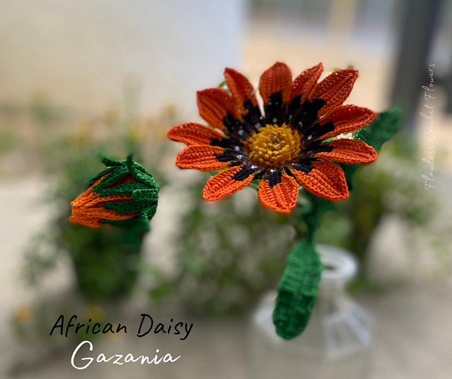 African Daisy Gazania