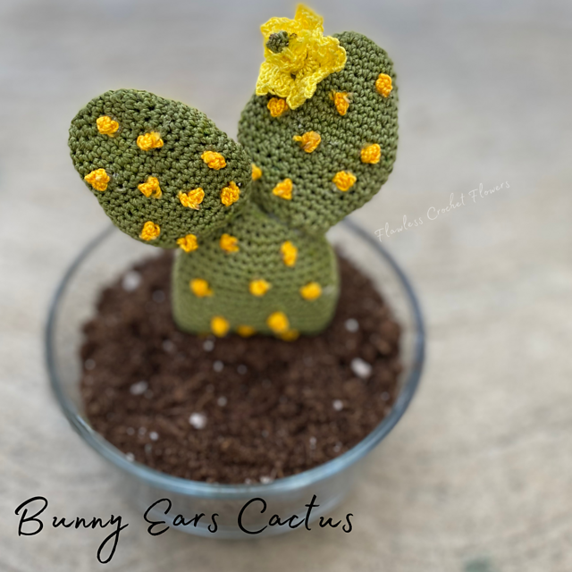 Bunny Ears Cactus (Opuntia)