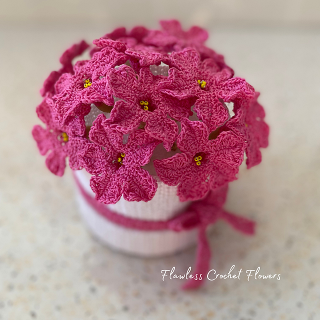Pink Kiss Petunia