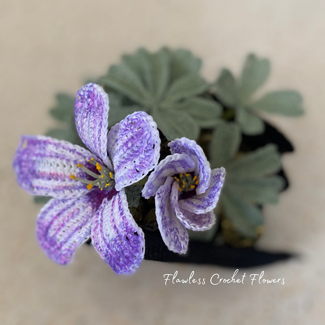 Silver Shamrocks