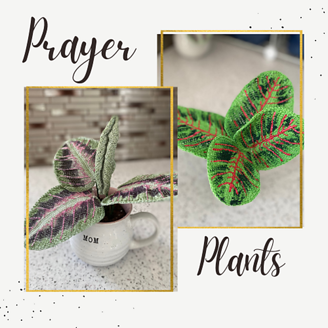 Ravelry: Silver Band Prayer Plant pattern by Leticia Lebron