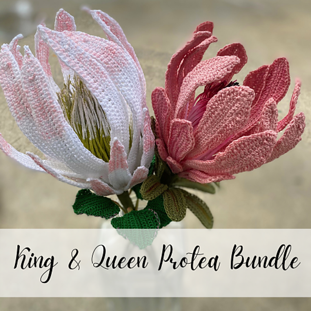 King & Queen Protea