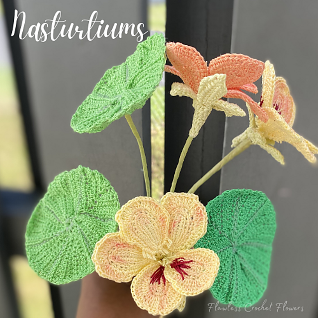 Nasturtiums