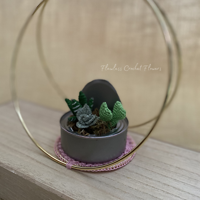 Tin Can Succulents