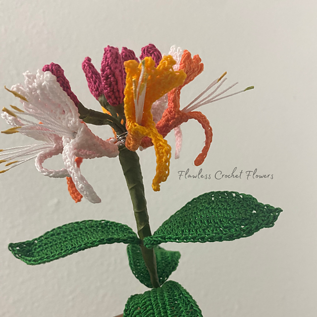 Japanese Honeysuckle