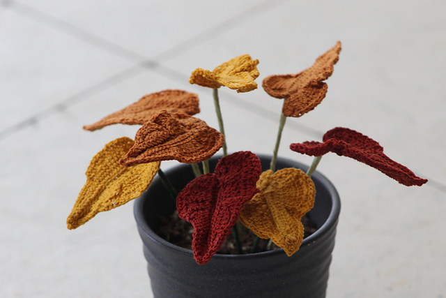 Autumn Ember Begonia