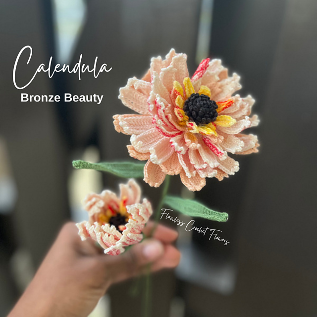 Calendula Bronze Beauty