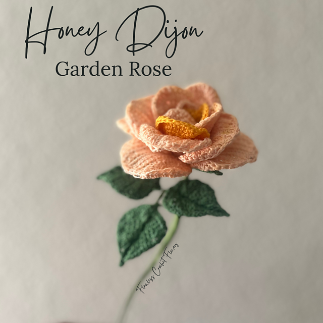 Honey Dijon Garden Rose