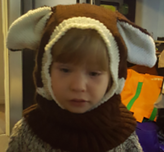 Hooded Dog Cowl