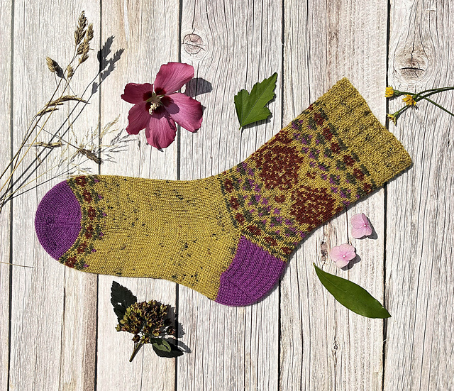 Les Fleurs séchées