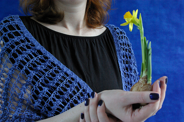 Hop Hasi Shawl