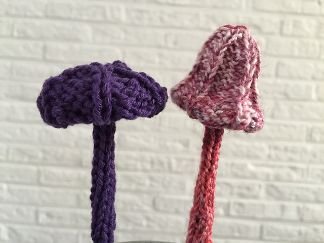 Lazy Gnomes (mushrooms)