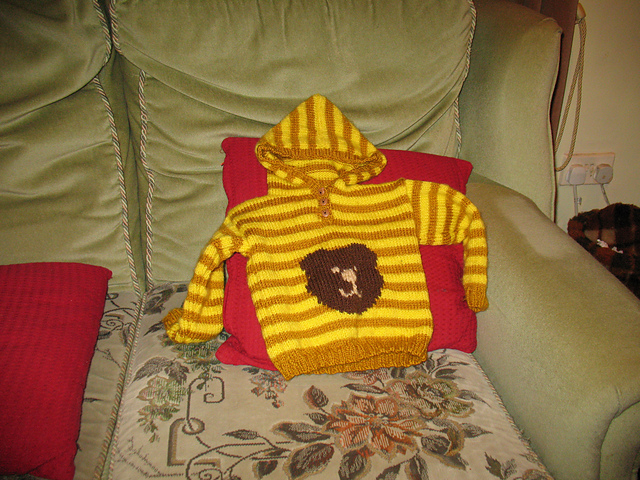 Teddy Hoodie