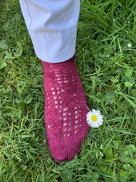 Aubépine