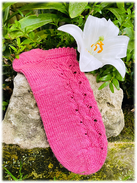 Eclat de rosée