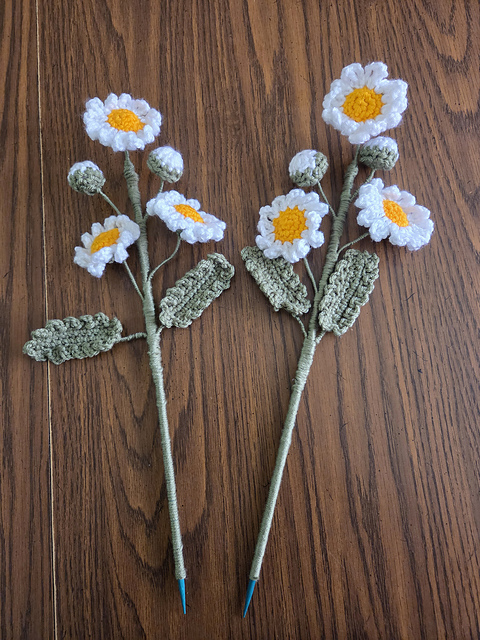 Daisy