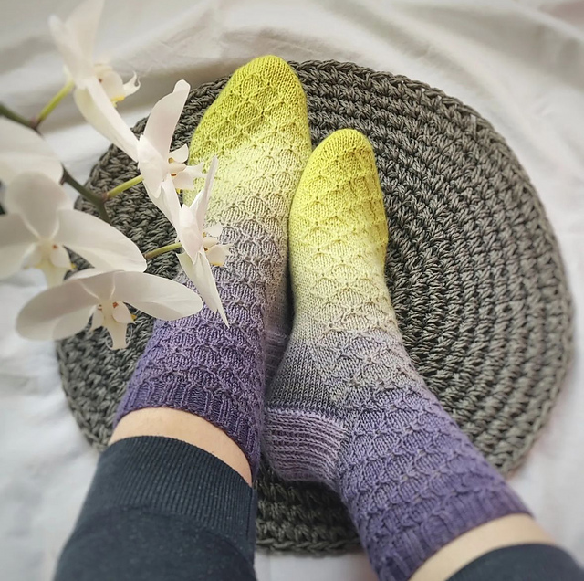 Socks lizard