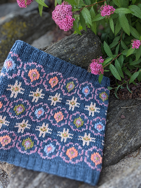 Vera Cowl