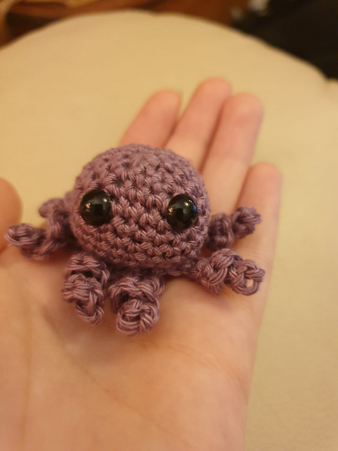 Octopus