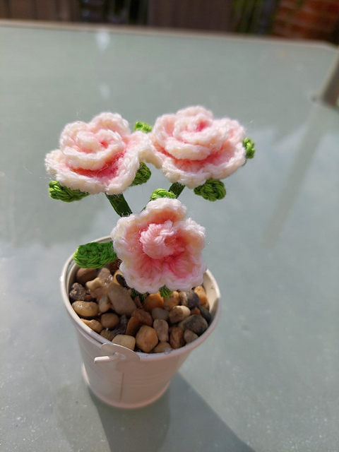 Roses