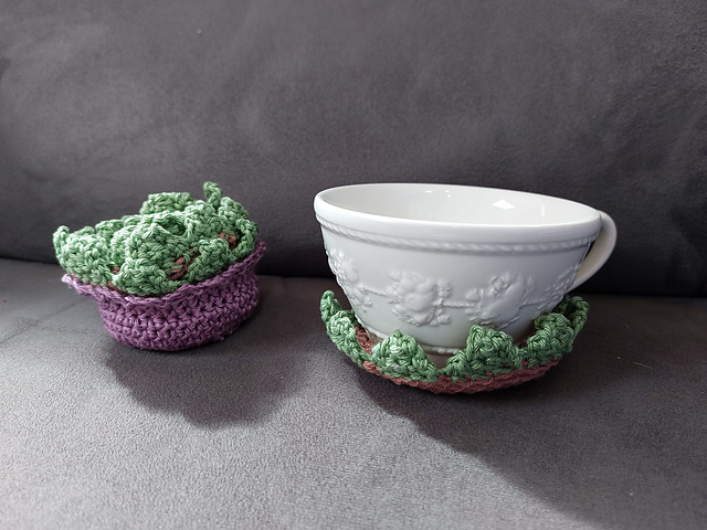 Succulent coasters