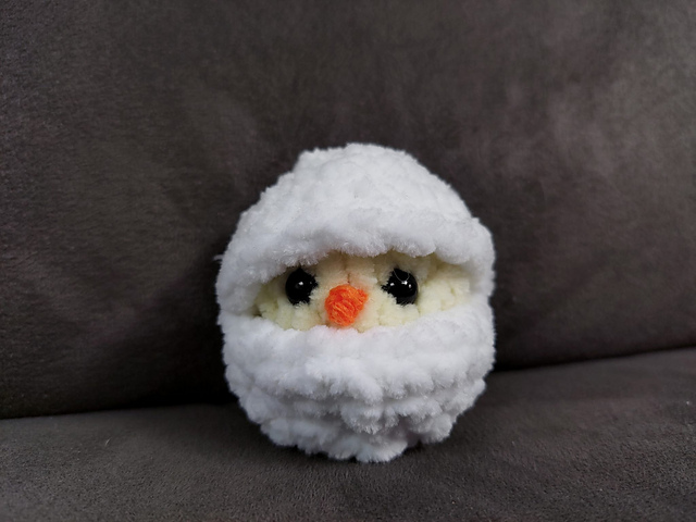 Chick in egg