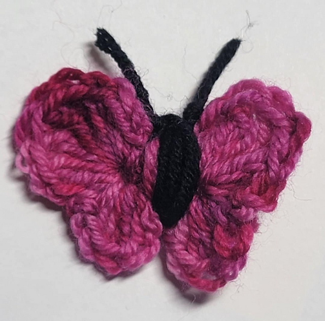 Archway Butterfly