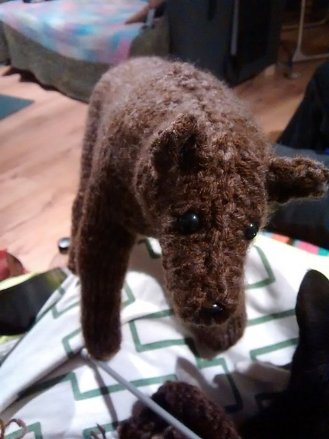 Brown Bear