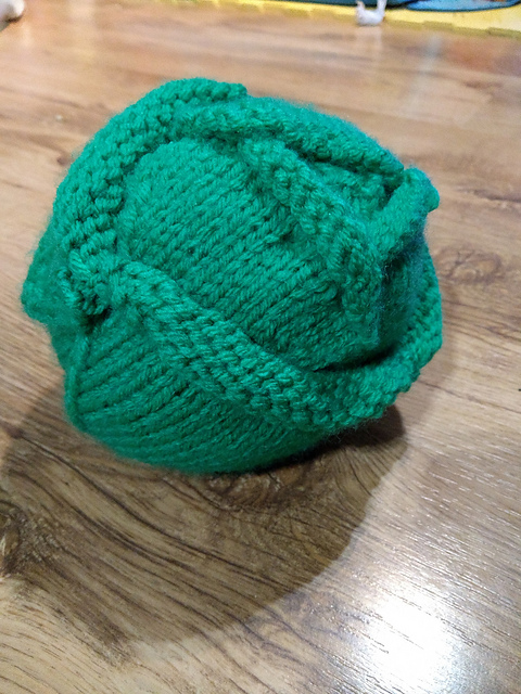 Lettuce (or cabbage)