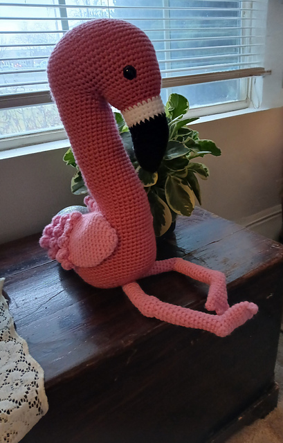Blush the Flamingo