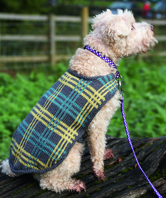 Canine Couture