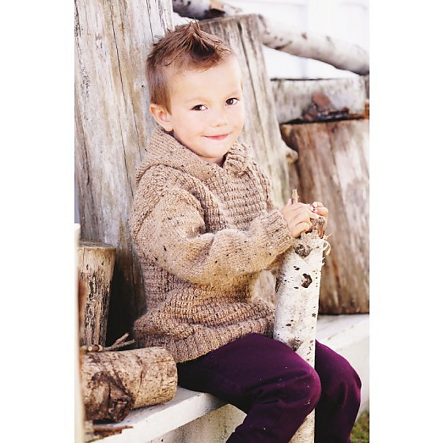 Boy's Hooded Sweater